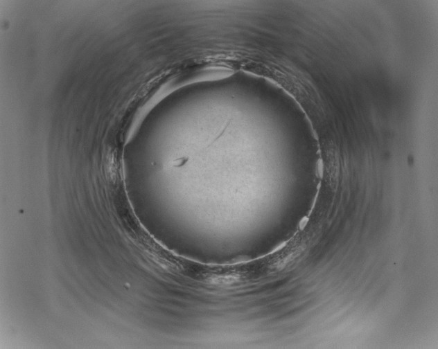 X0000069390653200605121212