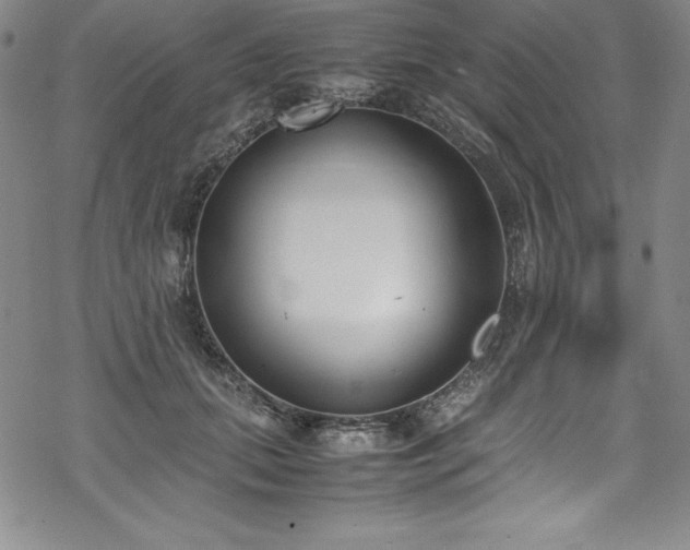 X0000069390655200605121212