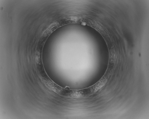 X0000069390656200605121212