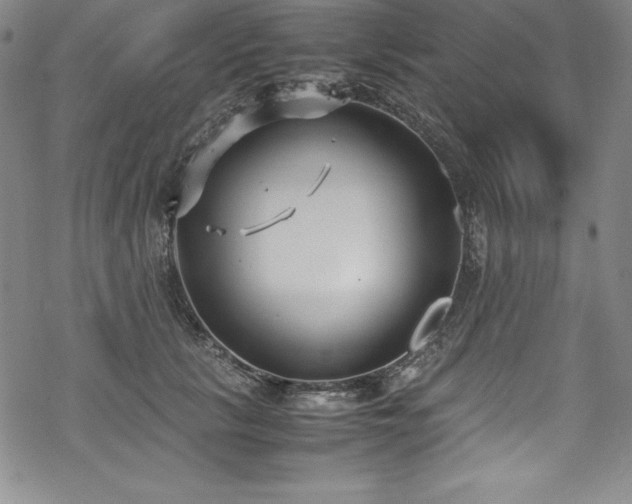 X0000069390657200605121212