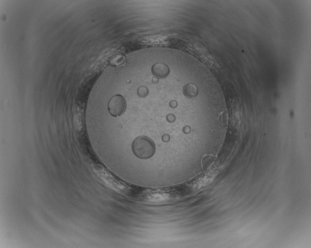 X0000069390658200605121212