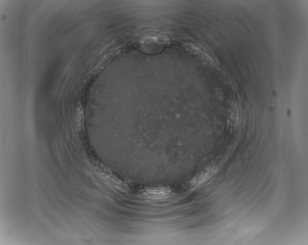 X0000069390659200605121212