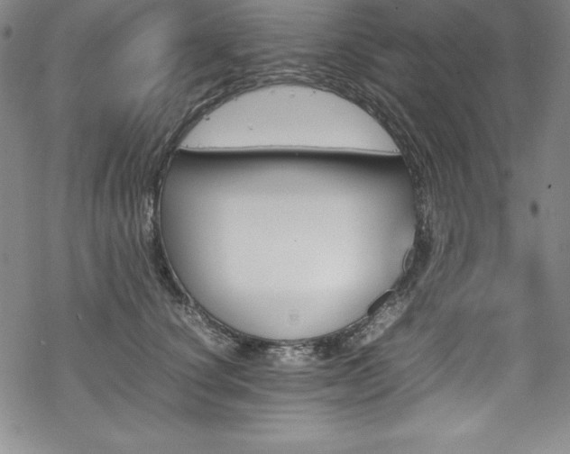 X0000069390660200605121212