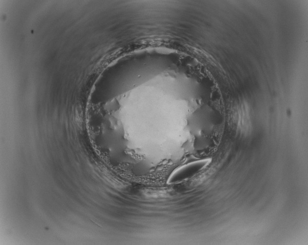 X0000069390661200605121212