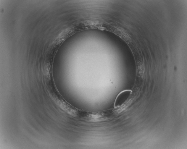 X0000069390662200605121212