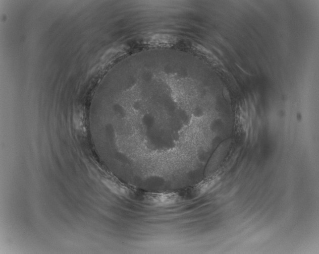 X0000069390663200605121212