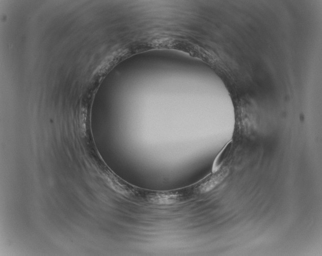 X0000069390664200605121212