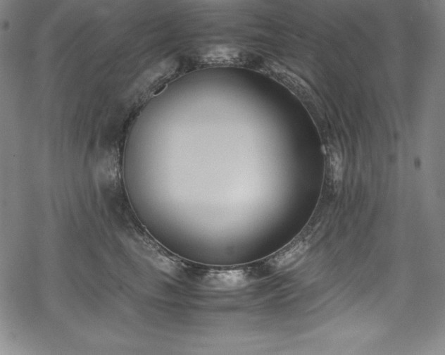 X0000069390665200605121212