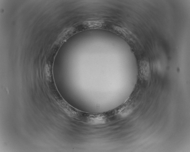 X0000069390667200605121212