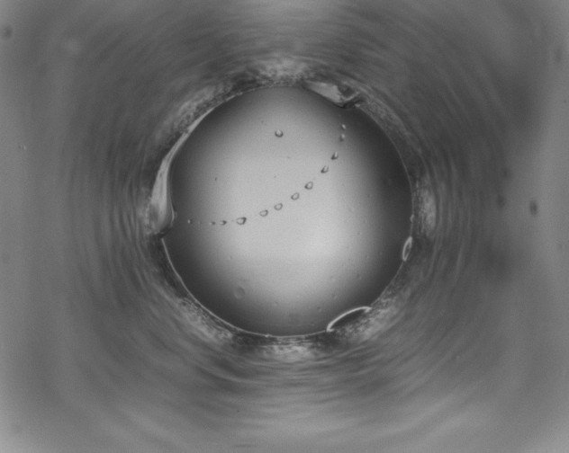 X0000069390668200605121212