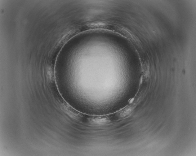 X0000069390669200605121212