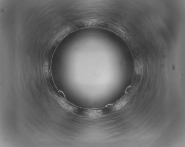 X0000069390670200605121212