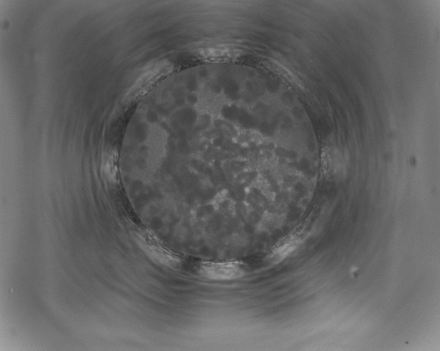 X0000069390671200605121212