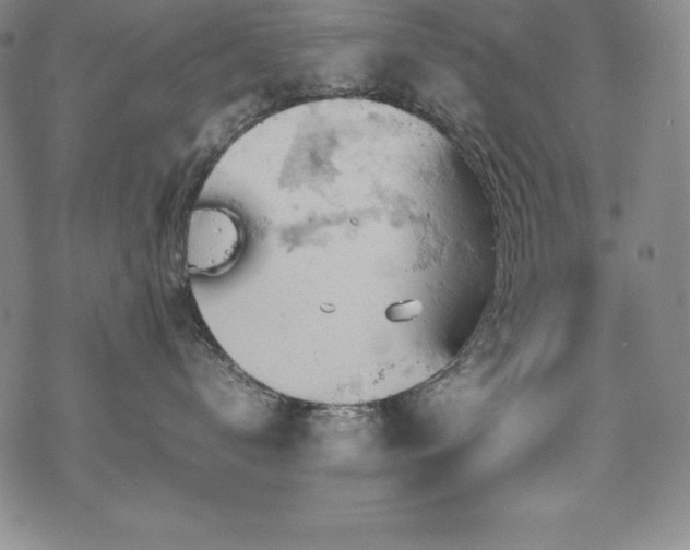 X0000069390672200605121212