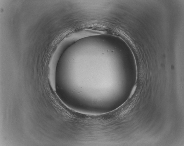 X0000069390673200605121212