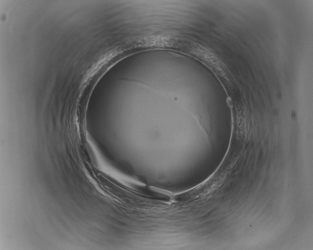 X0000069390674200605121212