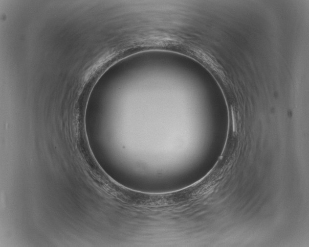 X0000069390675200605121212