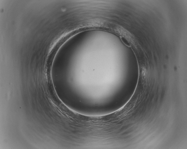 X0000069390676200605121212