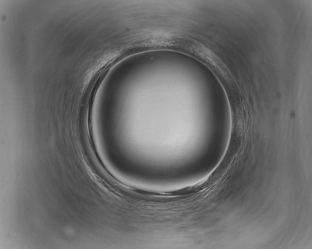 X0000069390677200605121212