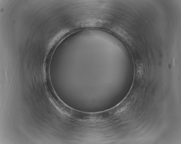 X0000069390678200605121212