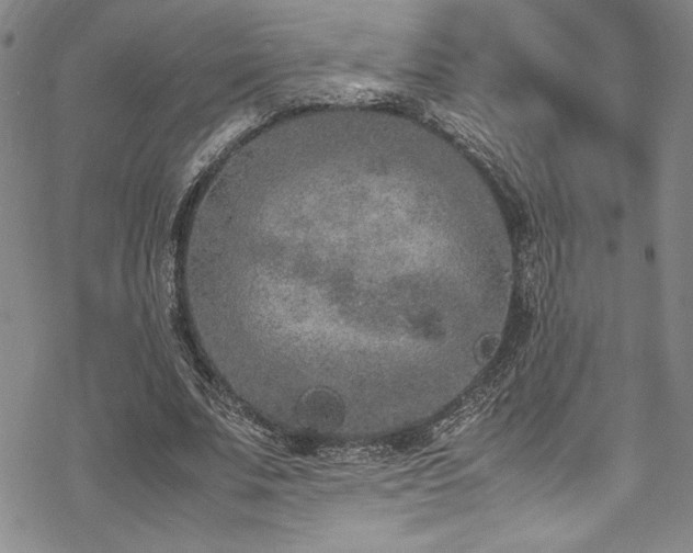 X0000069390679200605121212