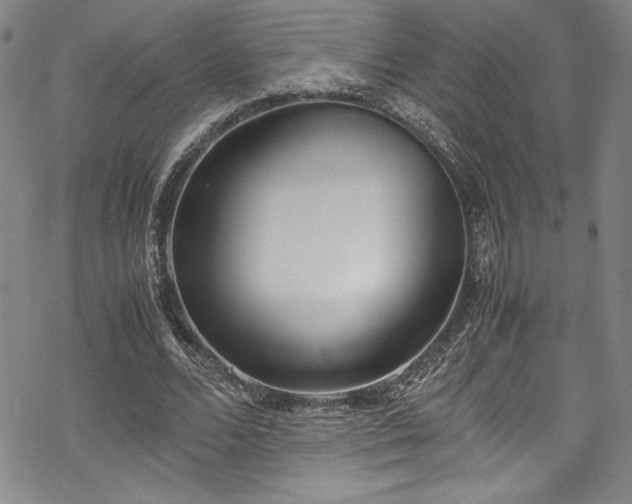 X0000069390680200605121212