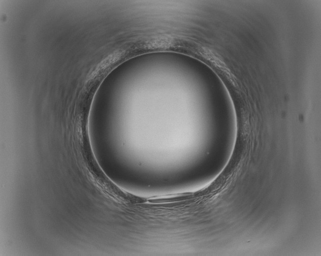 X0000069390681200605121212