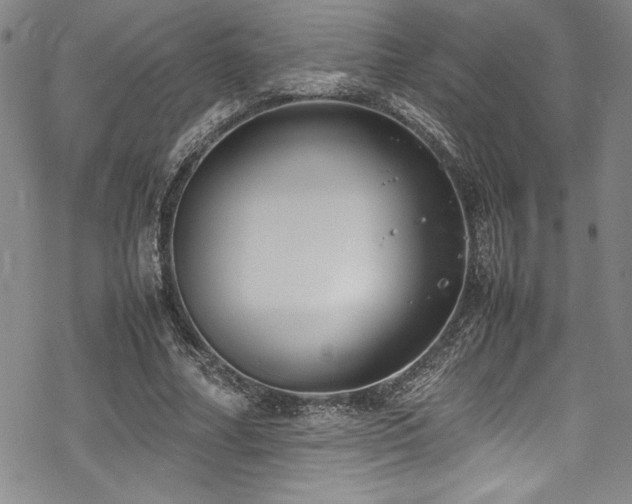 X0000069390682200605121212