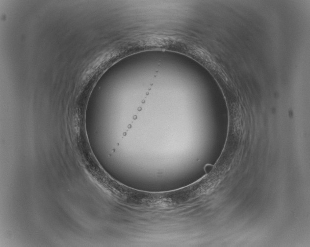 X0000069390683200605121212