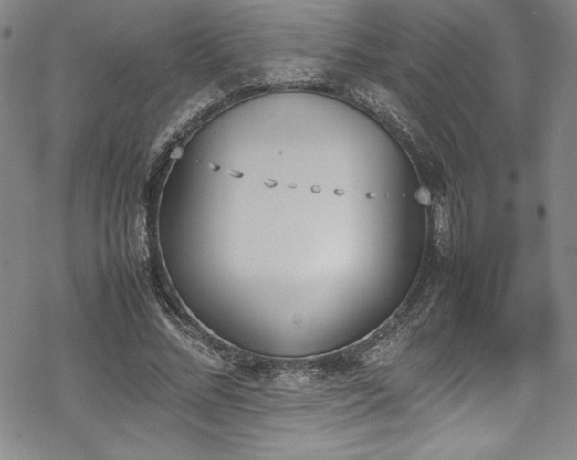 X0000069390684200605121212