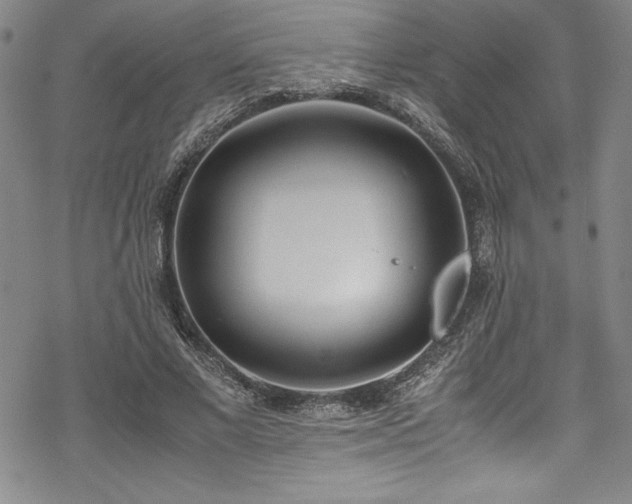 X0000069390685200605121212