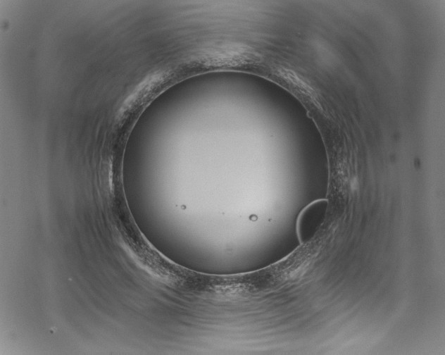 X0000069390686200605121211