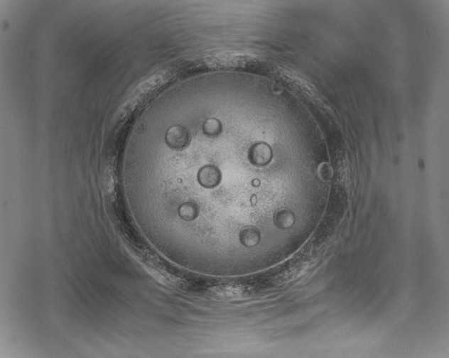 X0000069390687200605121211