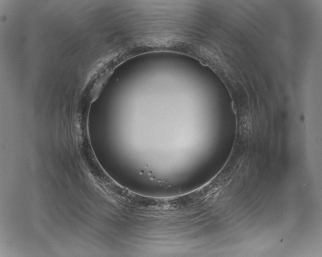 X0000069390688200605121211