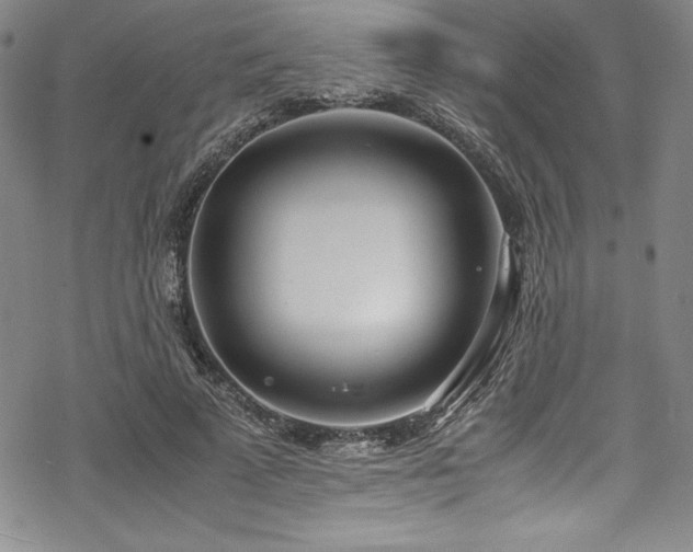 X0000069390689200605121211