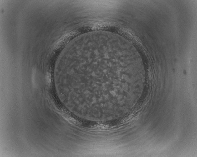 X0000069390691200605121211