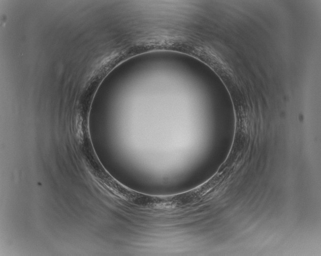 X0000069390692200605121211