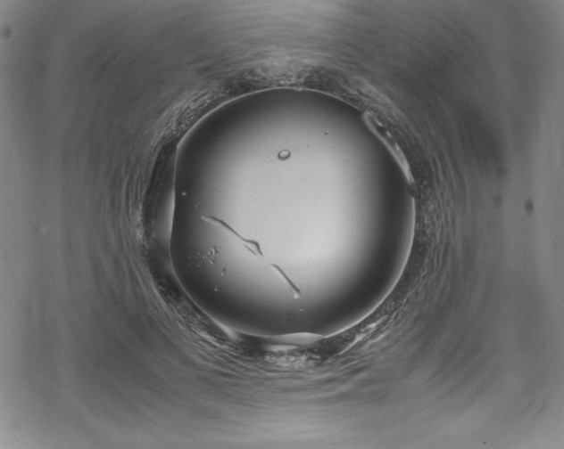 X0000069390693200605121211