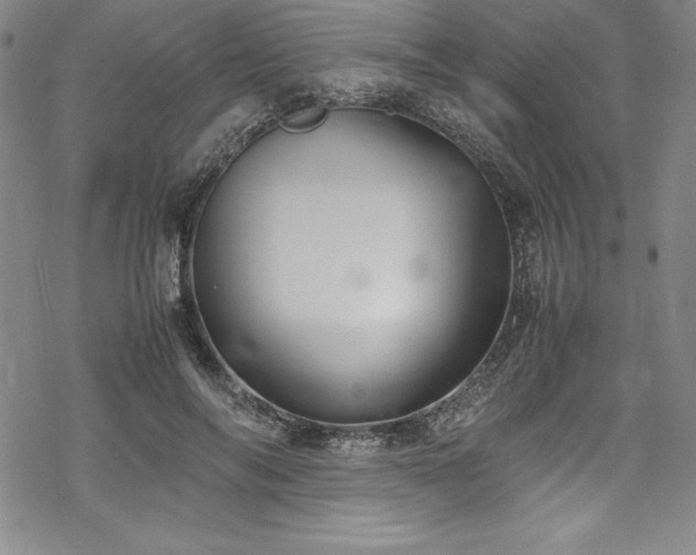 X0000069390694200605121211