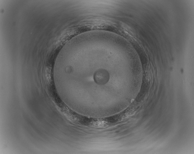 X0000069390695200605121211