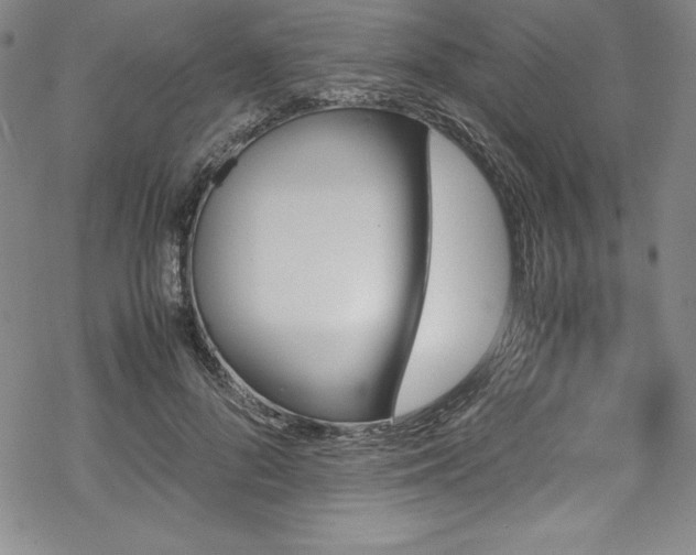 X0000069390696200605121211