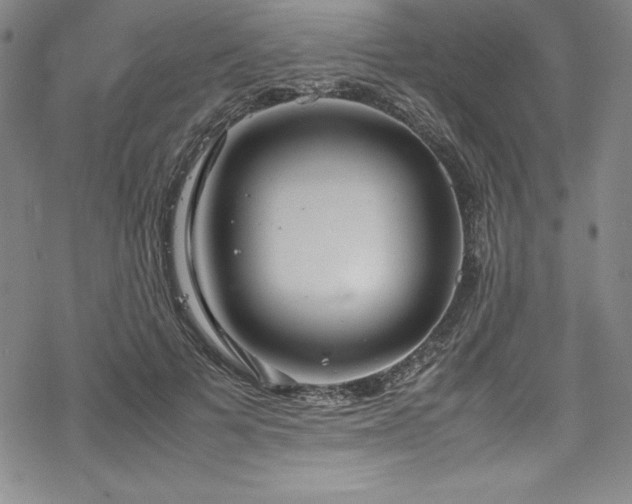 X0000069390697200605121211