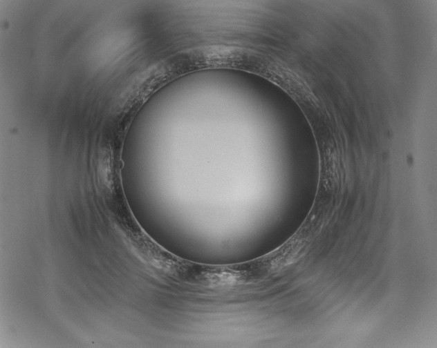 X0000069390698200605121211