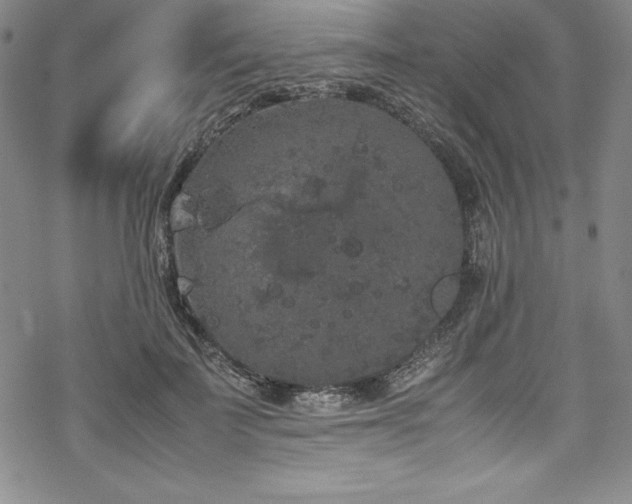 X0000069390699200605121211