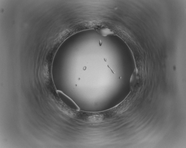 X0000069390700200605121211