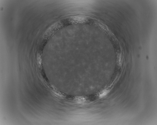 X0000069390701200605121211