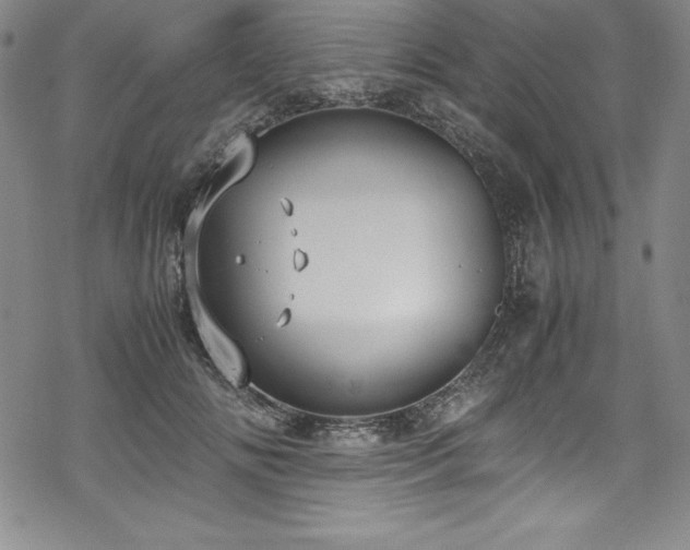 X0000069390702200605121211