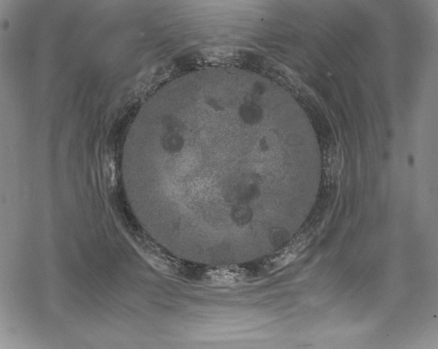 X0000069390703200605121211