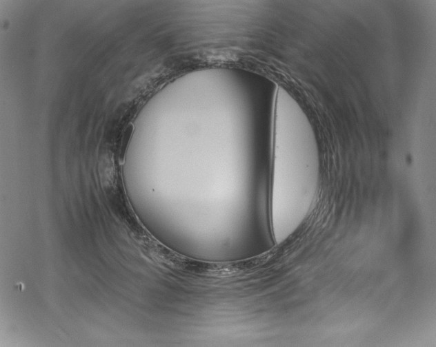 X0000069390704200605121211