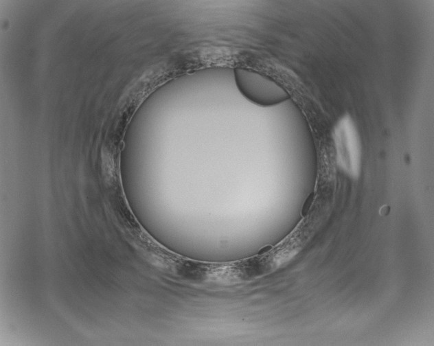 X0000069390705200605121211